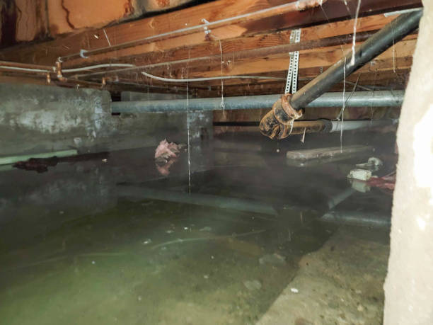 Best Water damage contractors near me  in Thomasville, GA