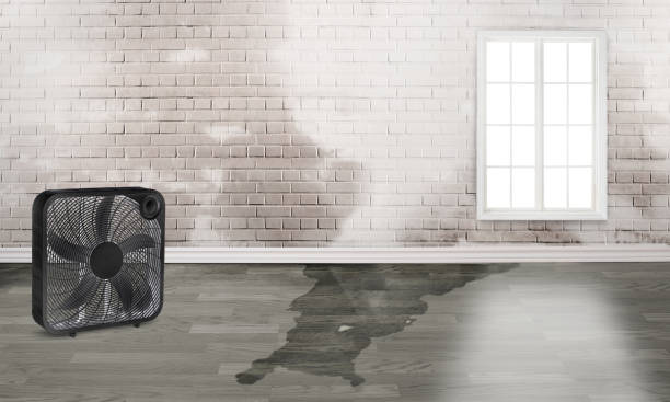 Best Fire Damage Restoration  in Thomasville, GA
