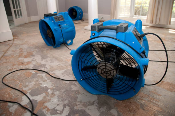 Best Sewage cleanup and water damage restoration  in Thomasville, GA