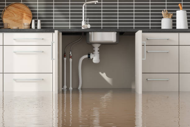 Best Water damage restoration experts  in Thomasville, GA