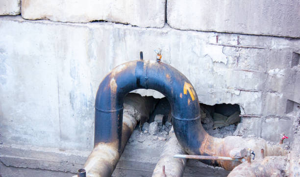 Best Basement water damage restoration  in Thomasville, GA