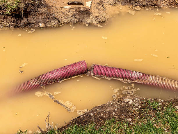 Best Commercial water damage restoration  in Thomasville, GA